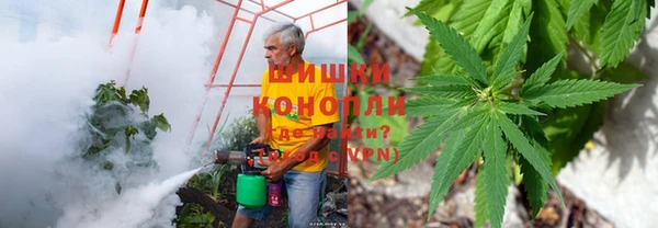 не бодяженный Арсеньев