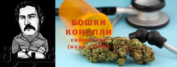 амф Аркадак