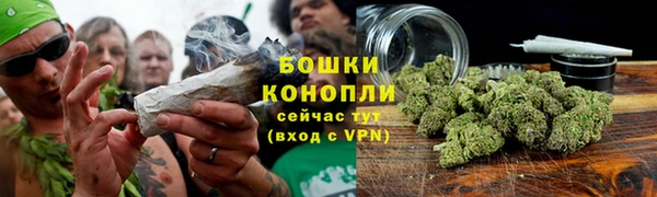 сатива Валдай