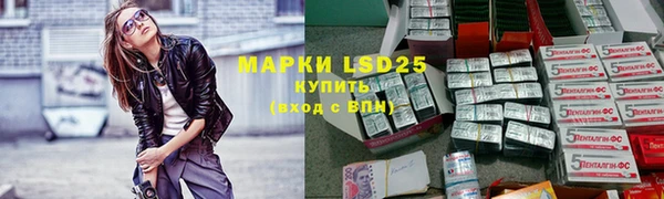 ПСИЛОЦИБИНОВЫЕ ГРИБЫ Валуйки